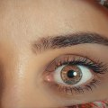 Are eyebrows an adaptive human trait?